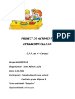 proiect_aniv..doc