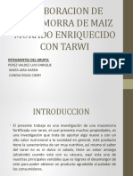EXPOSICION- TARWI COMPLETO.pptx