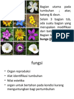 Morfologi Bunga