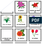 Loto Des Fleurs - Cartes