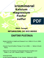 Makromineral: Kalsium Magnesium Fosfor Sulfur