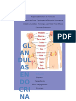 Glandulas Endocrinas