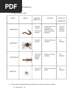 Actividades Tema 7 (Animales Invertebrados)