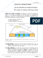 transcirpcion y traduccion.pdf