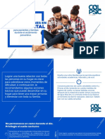 Recomendaciones S Mental PDF