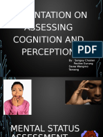 Presentation On Assessing Cognition and Perception