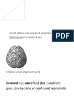 Creier PDF