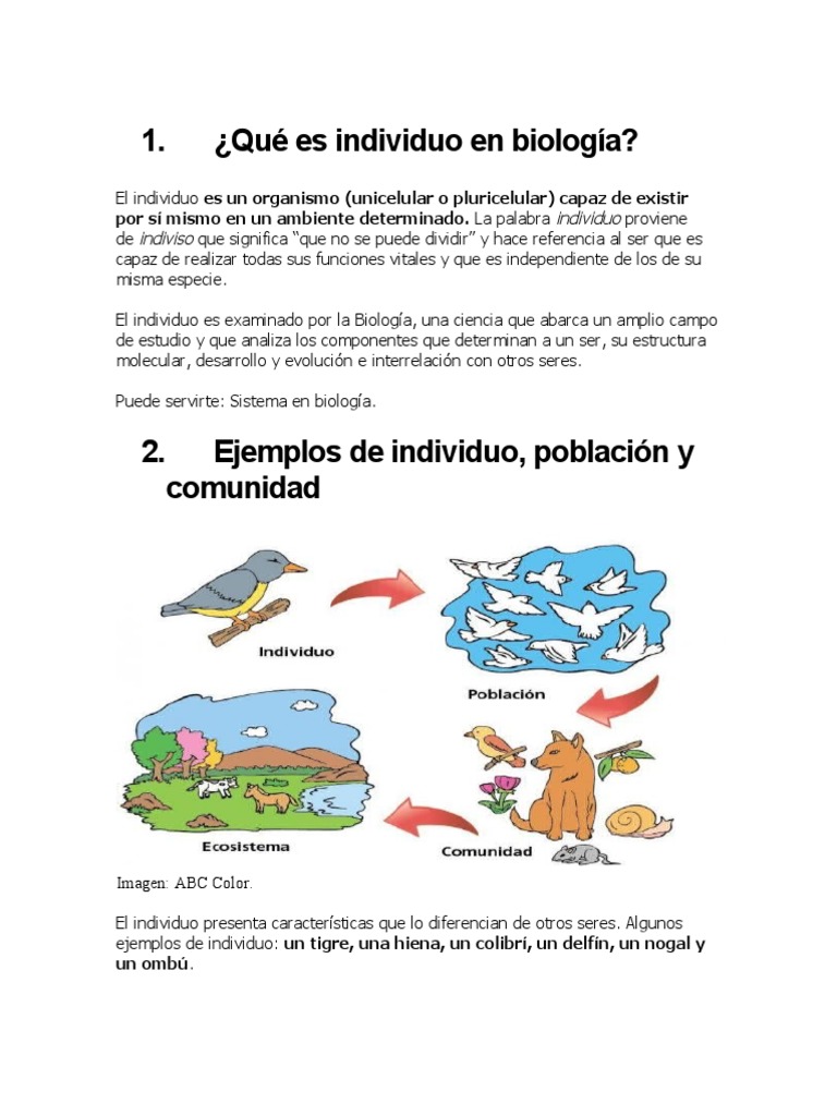 Qué Es Individuo en Biología | PDF, image size:768x1024