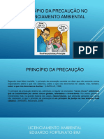 Princípio Da Precaução No Licenciamento Ambiental - Minha Parte PDF