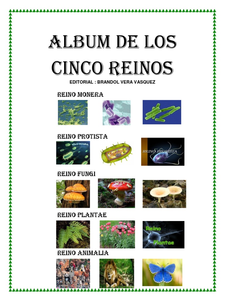 Album de Los Cinco Reinos PDF | PDF | Plantas | Hongo