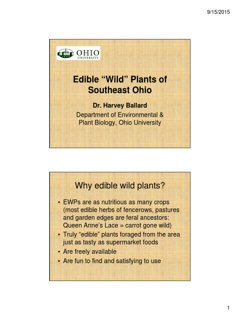 Edible Wild Plants of Ohio PDF Berry Carrot
