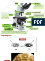 TP2 Láminas Microscopio Antibiograma Tinciones PDF