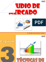 Capitulo 3 - Tecnicas de Proyeccion PDF