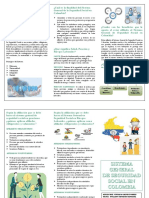 Folleto Tematico,informativo y explicativo SSGC.pdf