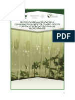 0Protocolo de multiplicación y conservación in vitro de cuatro especies forestales final.pdf