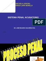 Sistema Penal Acusatorio.ppt