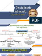 Principios Rectores Del Proceso Disciplinario Del Abogado