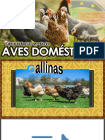 Aves Domesticas