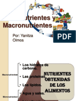 micronutrientesymacronutrientesMATERIAL.pdf