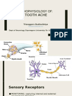 Dental Pain (Pengantar Neurologi)