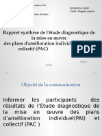 rapport-synthc3a8se-de-l_c3a9tude-diagnostique-de-la-mise-en-c593uvre-des-pai-et-pac (2)