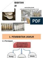 Pembibitan Jamur - OK