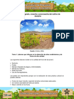 Unidad - 4 A. Precision PDF