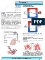 Respiratorio Humano Bioresumo PDF