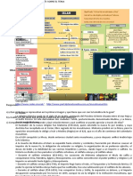 C.4 EDAD - MEDIA - ISLAM - 8vo