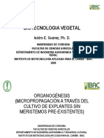TEMA 6. Organogénesis PDF
