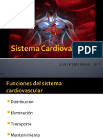 2.1 Sistema Cardiovascular Modificada