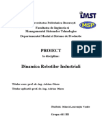 Proiect DRI Minca Laurentiu