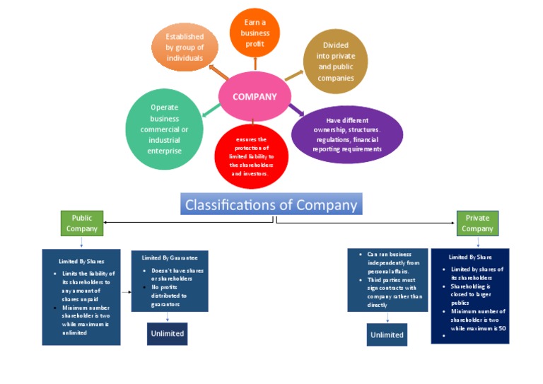 Company Classifications and Structures | PDF | Limited Liability ...