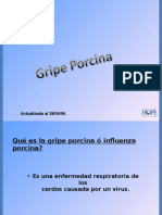 GRIPEPORCINA280509