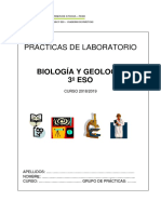 Prácticas laboratorio 2.pdf