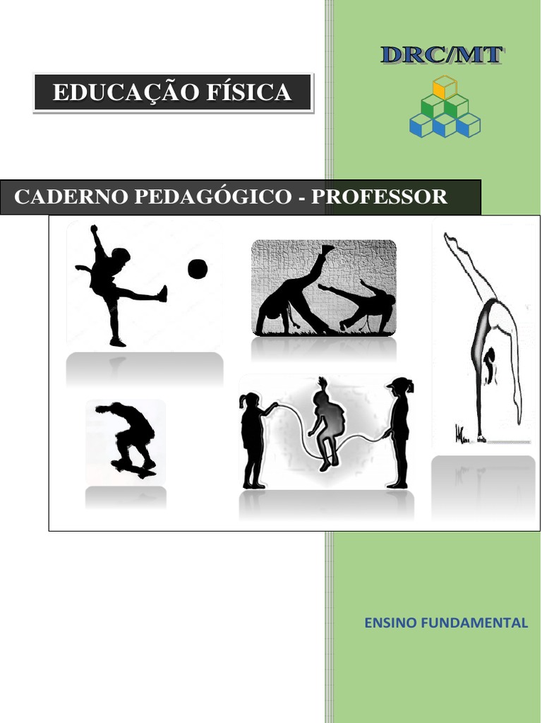 PDF) Os jogos eletrônicos no contexto pedagógico da educação física escolar