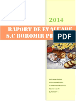 262057489-Raport-evaluare-Boromir-SA-Buzau-pdf.pdf