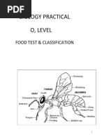O Level Biology Practical Manual | PDF | Osmosis | Cell Membrane