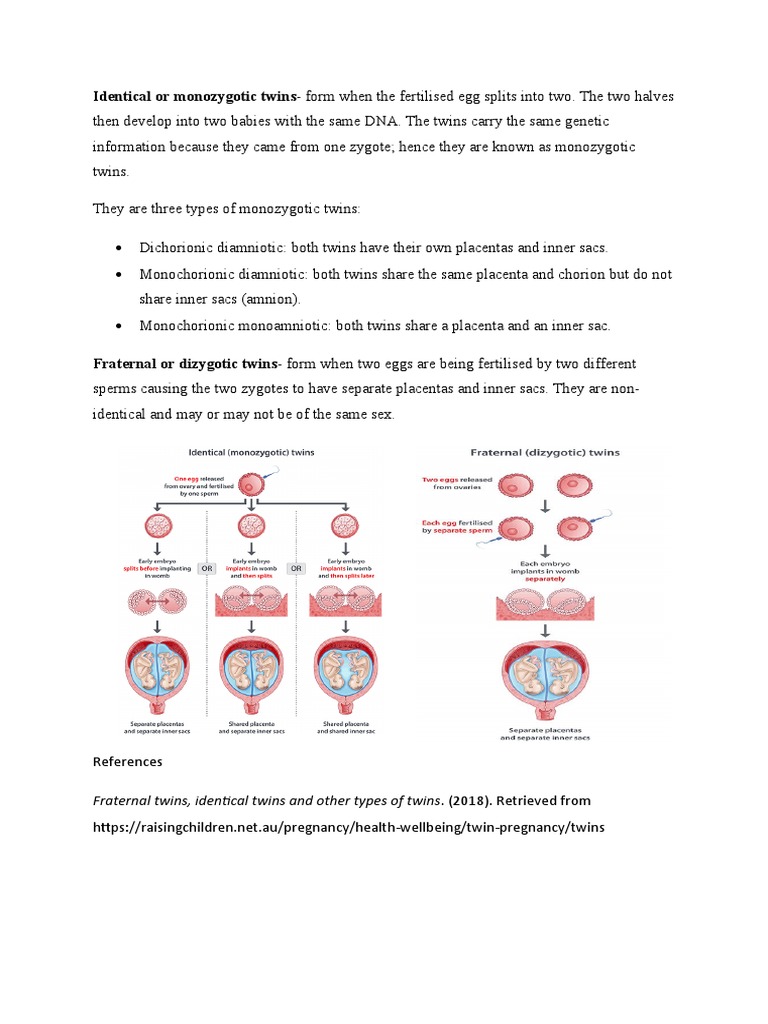 Identical or Monozygotic TwinsForm When The Fertilised Egg Splits Into