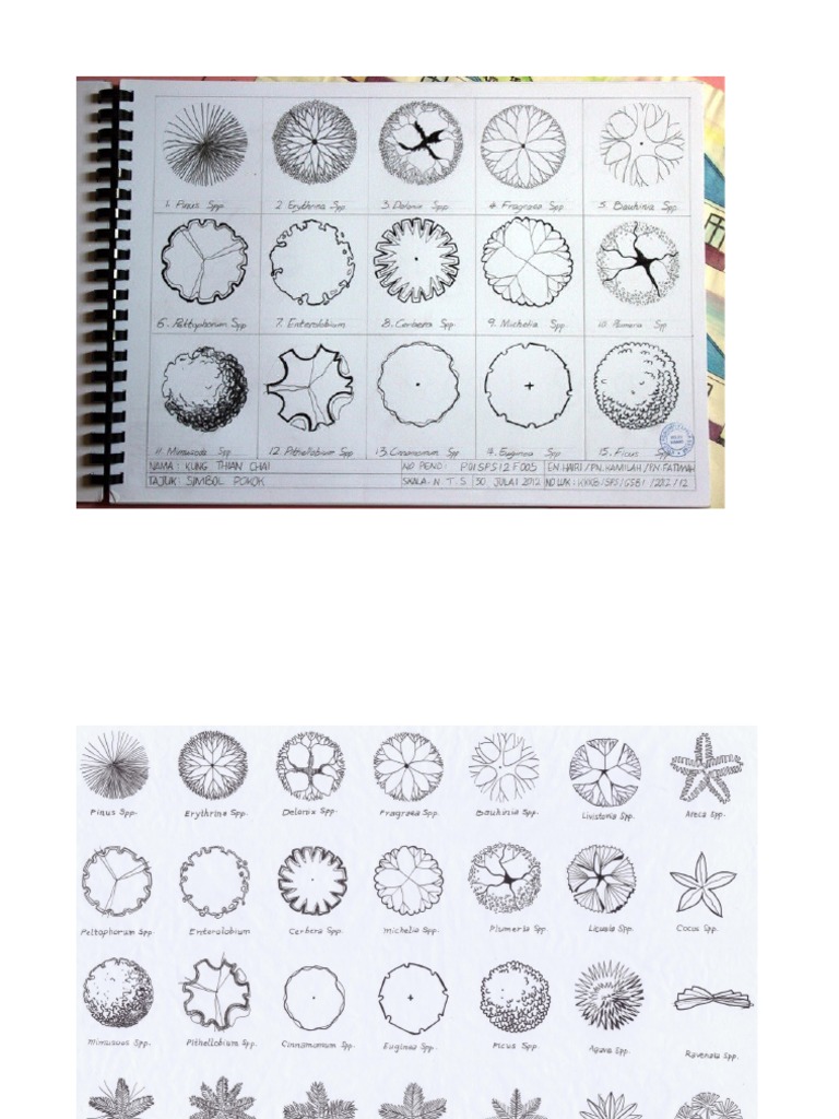 Contoh Simbol Pokok Nama Pdf