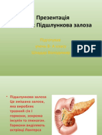 Підшлункова залоза -8