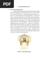Download ELEKTROKARDIOGRAFI by Noth Friska L S SN45483336 doc pdf