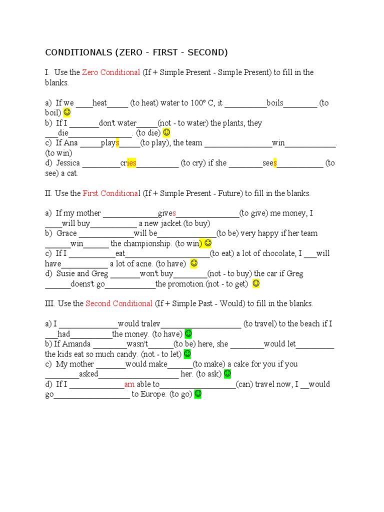 Conditional Sentences Practice Guide | PDF