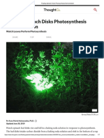 Photosynthesis Demonstration