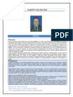 Director de Obras-R PDF