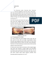 Referat Tanatologi PDF