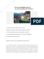 Informe Estrategias Procesos de Lectoescritura