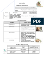 Adaptações - DENTIÇÃO