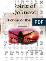 Spirit of Holiness PDF