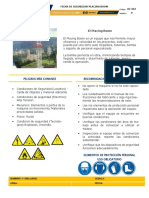 A1-I02 Ficha de Seguridad Placing Boom PDF